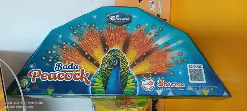 MEGA BADA PEACOCK BEEMA