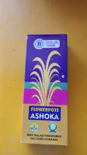 FLOWER POTS ASOKA